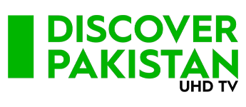 discover
