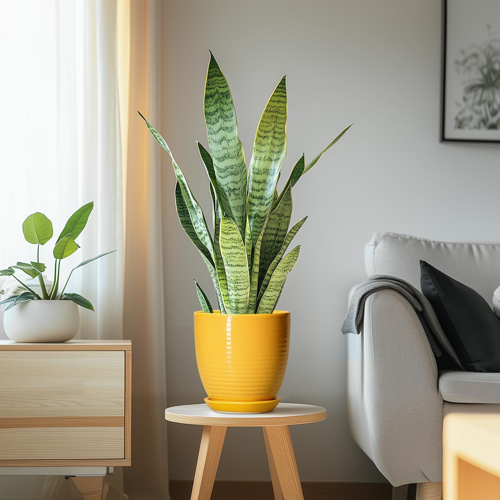 EPFamily Ceramic Pots for Plants - 6 Inch Plant Pot for Indoor Plants, Ceramic Planter with Drainage Hole and Saucer, Round Decorative Flower Pots, Desk Home Decor, Plant Lover Gifts, Glossy-Yellow - Image 6