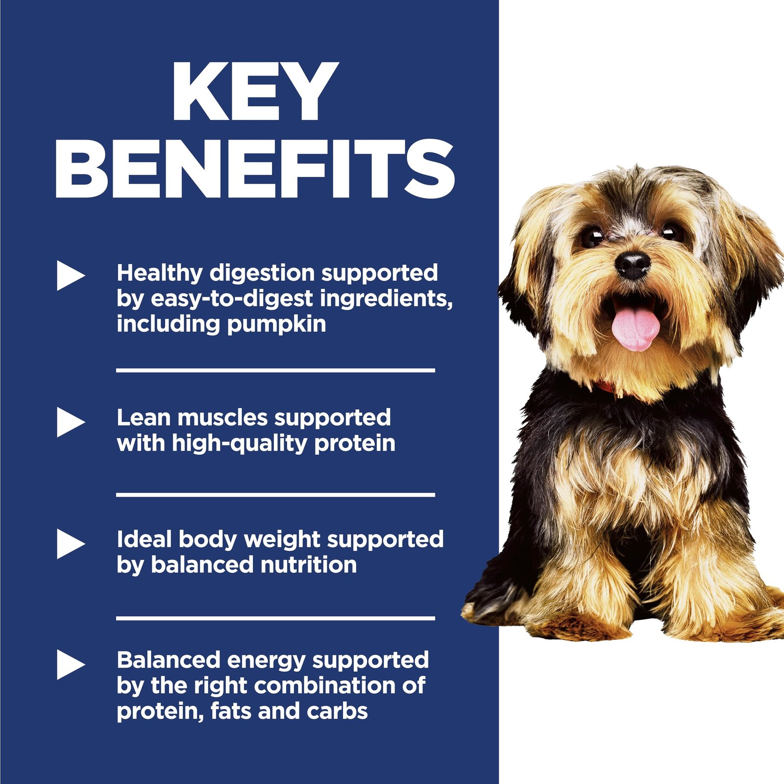 Hill's Science Diet Adult 1-6 Small & Mini Dry Dog Food - Image 4