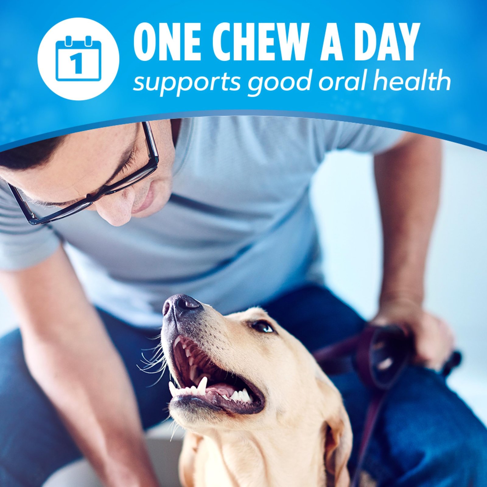 Dentalife Purina Daily Dental Chews for Large Dogs, 18 ct Pouch - Image 8