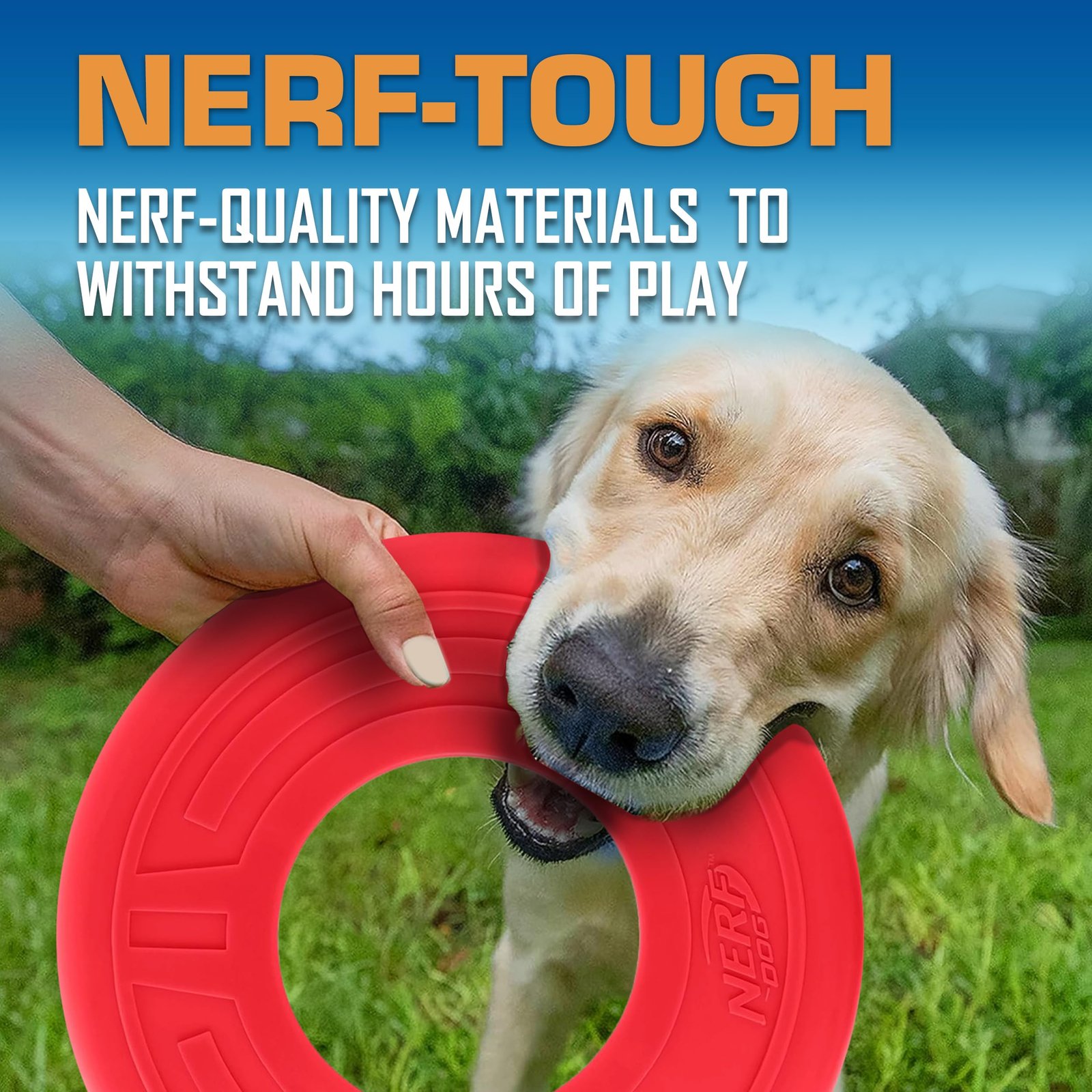 Nerf Dog Atomic Flyer Outdoor Dog Toy, 10 Inch Flying Disc Dog Fetch Toy, Rubber Dog Toy for Medium Dogs and Large Dogs, Red - Image 5