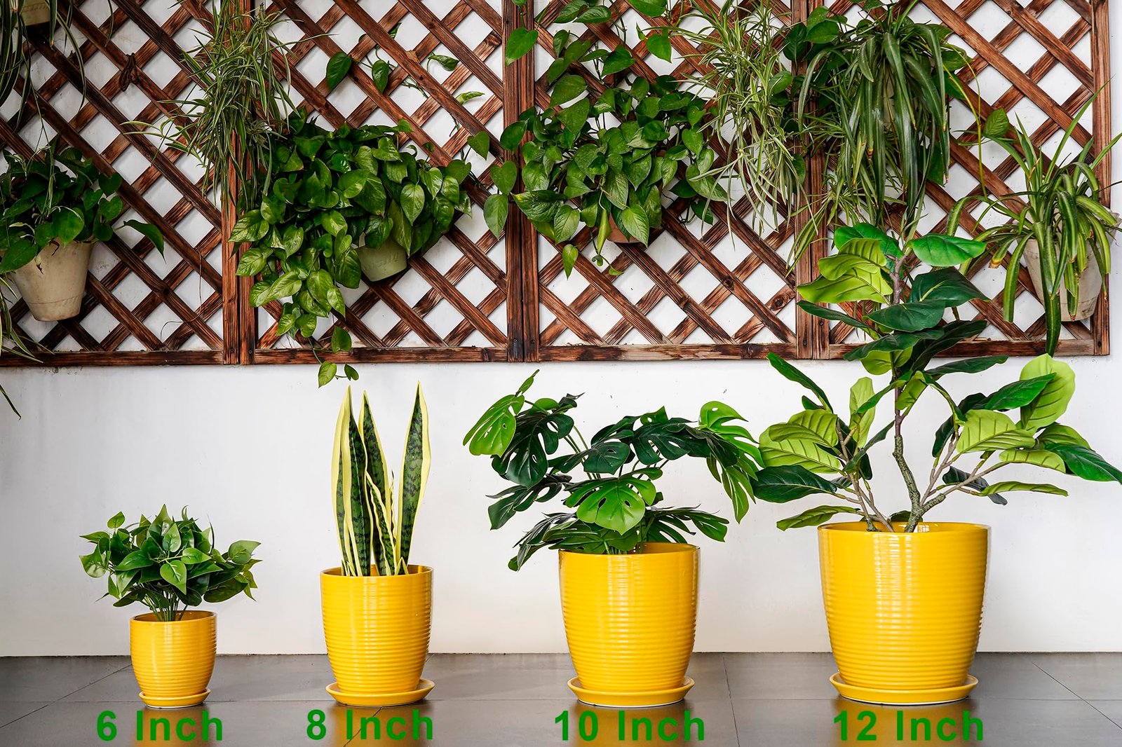 EPFamily Ceramic Pots for Plants - 6 Inch Plant Pot for Indoor Plants, Ceramic Planter with Drainage Hole and Saucer, Round Decorative Flower Pots, Desk Home Decor, Plant Lover Gifts, Glossy-Yellow - Image 9