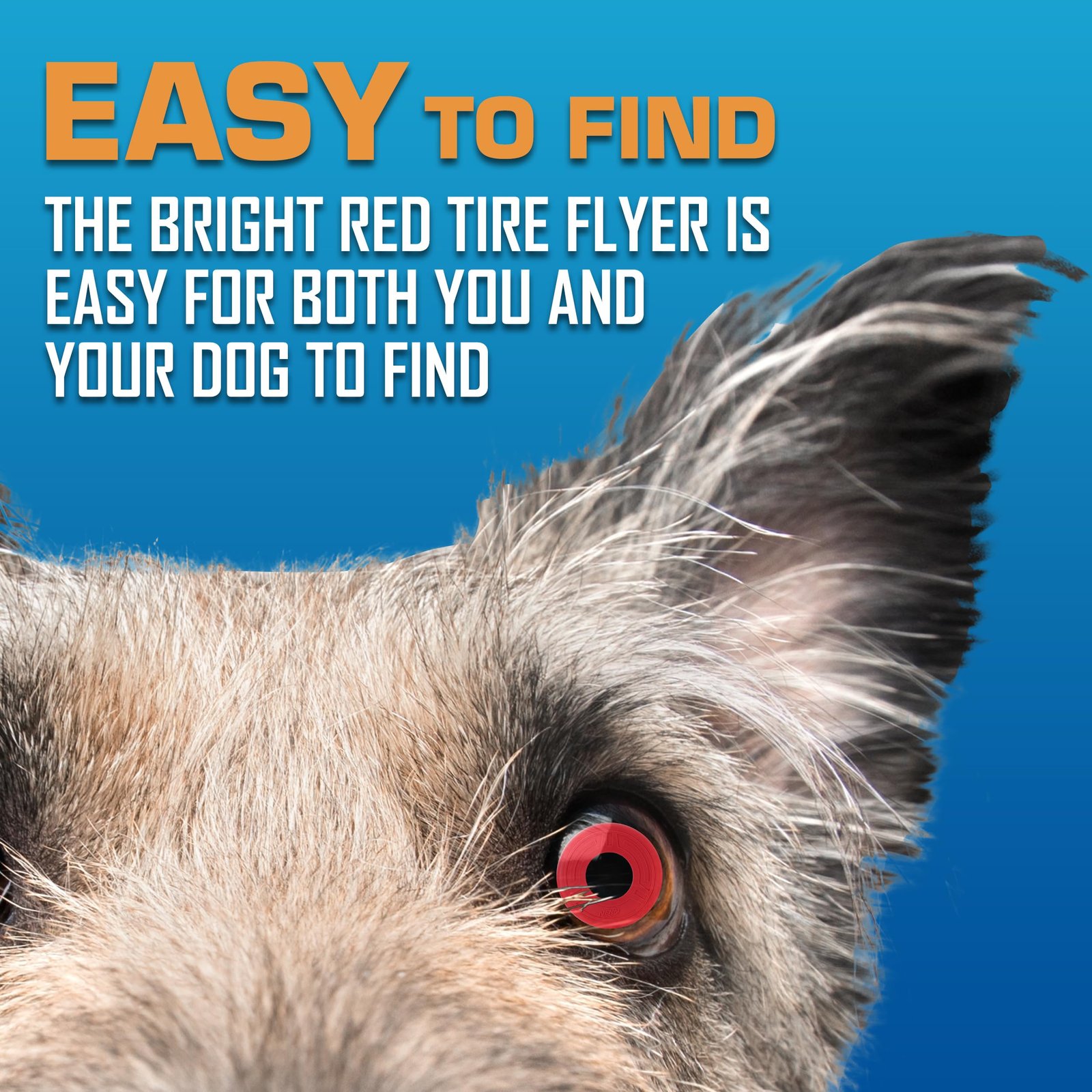 Nerf Dog Atomic Flyer Outdoor Dog Toy, 10 Inch Flying Disc Dog Fetch Toy, Rubber Dog Toy for Medium Dogs and Large Dogs, Red - Image 6