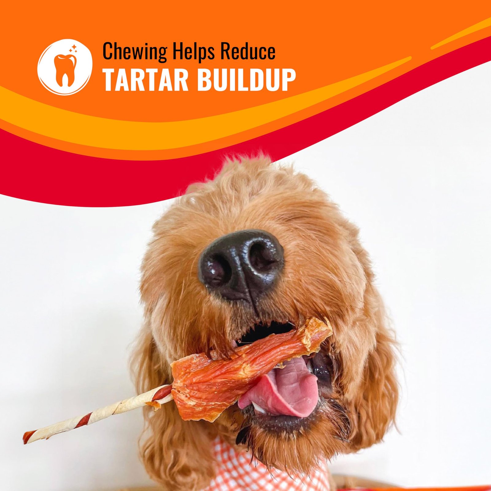 Good 'n' Fun Kabobs Long-Lasting Dog Treat Made With Real Protein, 24 oz - Image 5