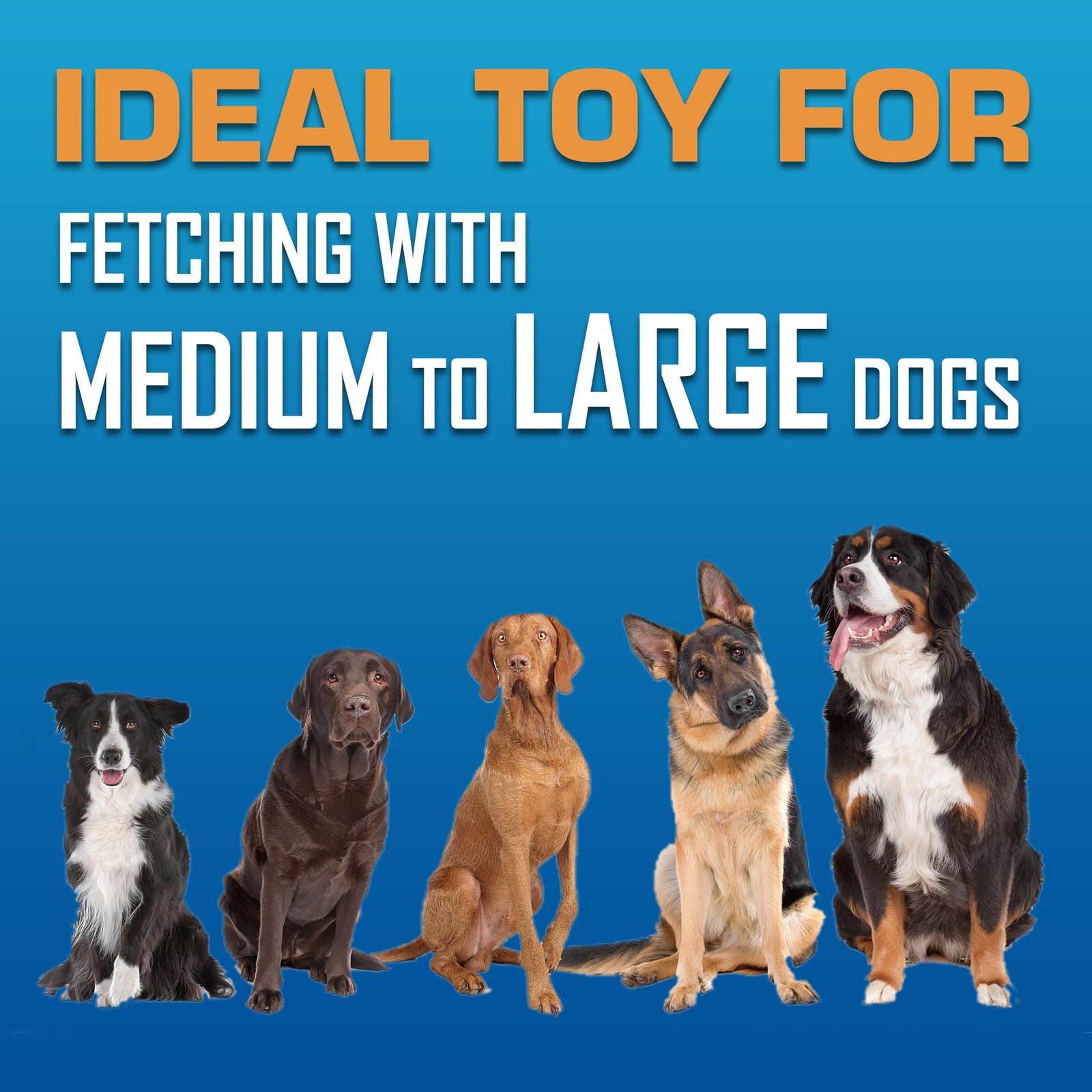 Nerf Dog Atomic Flyer Outdoor Dog Toy, 10 Inch Flying Disc Dog Fetch Toy, Rubber Dog Toy for Medium Dogs and Large Dogs, Red - Image 7