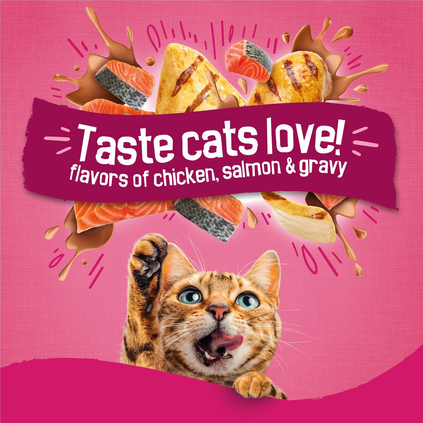 Purina Friskies Gravy Swirlers Dry Cat Food, Chicken & Salmon, 3.15 lb Bag - Image 2