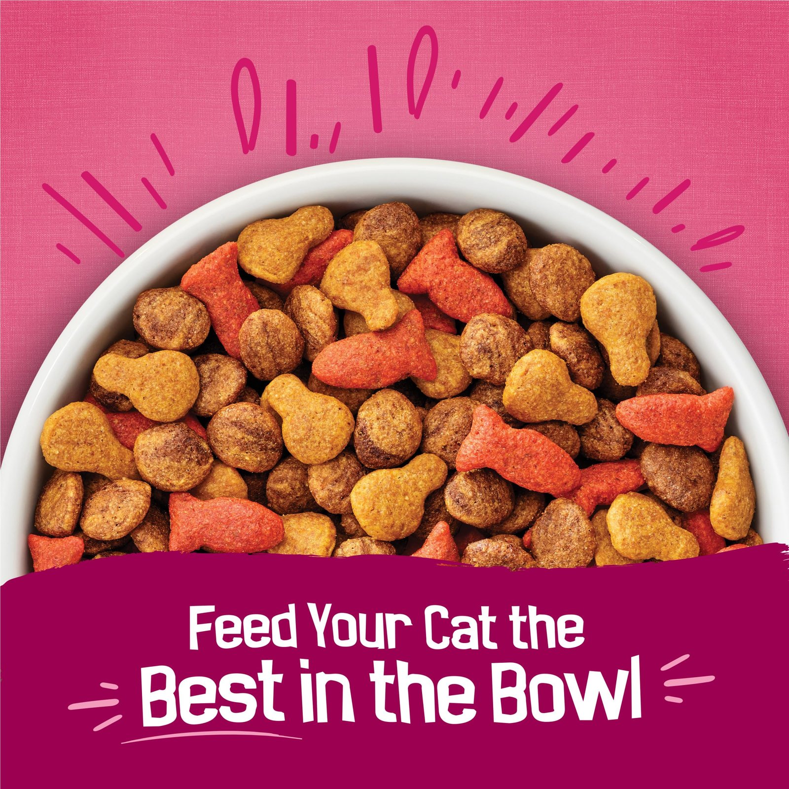 Purina Friskies Gravy Swirlers Dry Cat Food, Chicken & Salmon, 3.15 lb Bag - Image 6