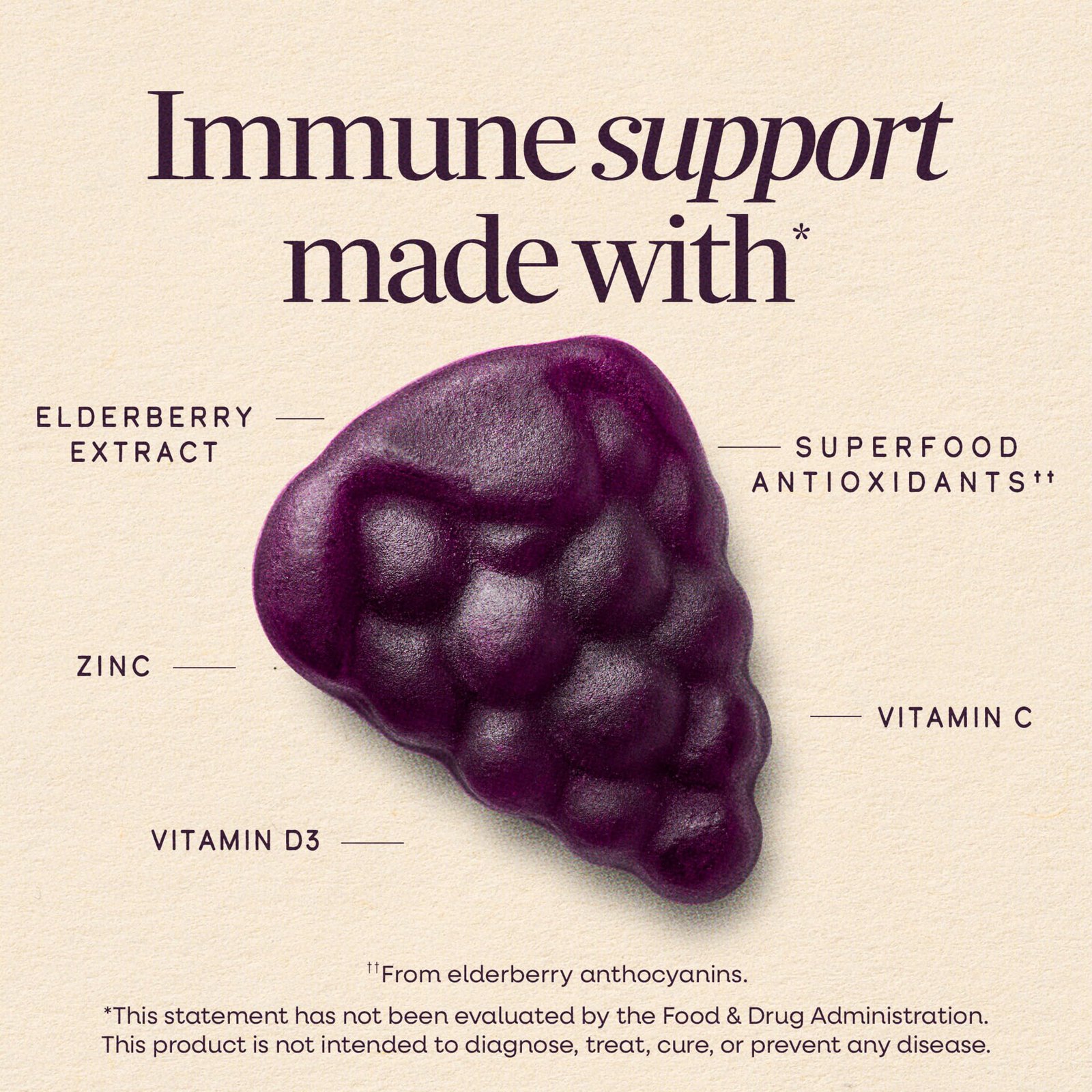 Nature's Way Sambucus Elderberry Gummies for Immune Support* Ages 4+, 60 ct - Image 2
