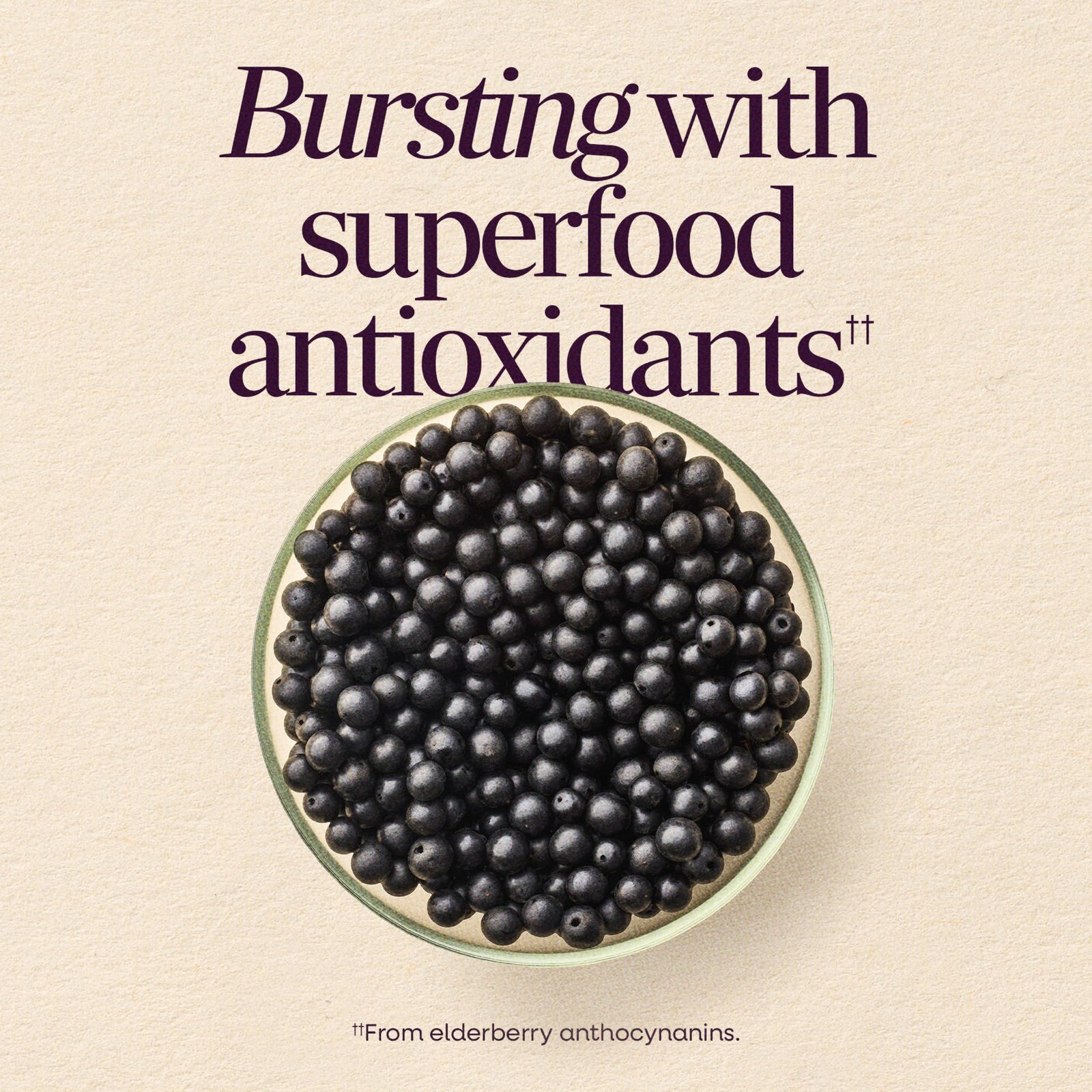 Nature's Way Sambucus Elderberry Gummies for Immune Support* Ages 4+, 60 ct - Image 4