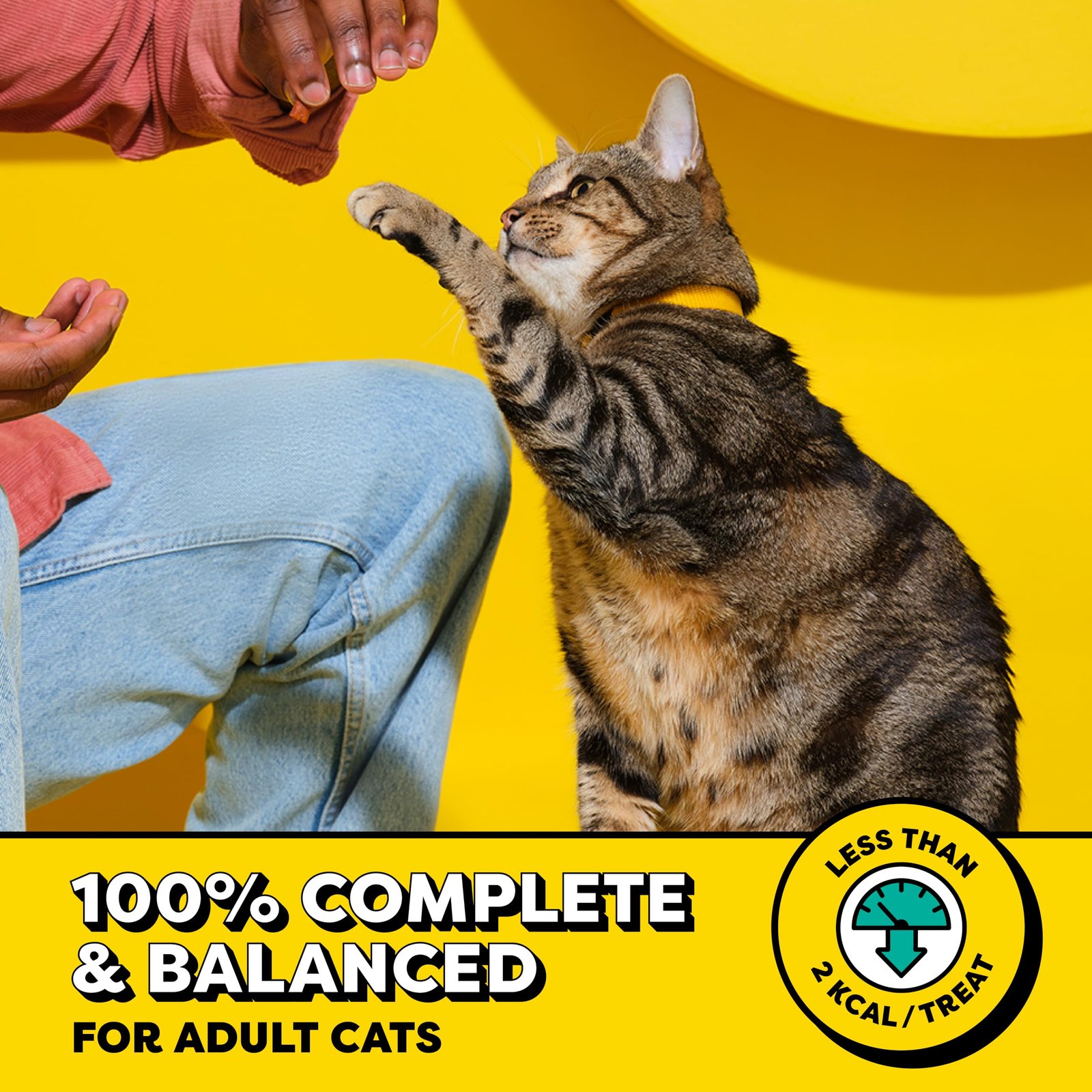 Temptations Classic Crunchy and Soft Cat Treats, Tasty Chicken, 30 oz - Image 4