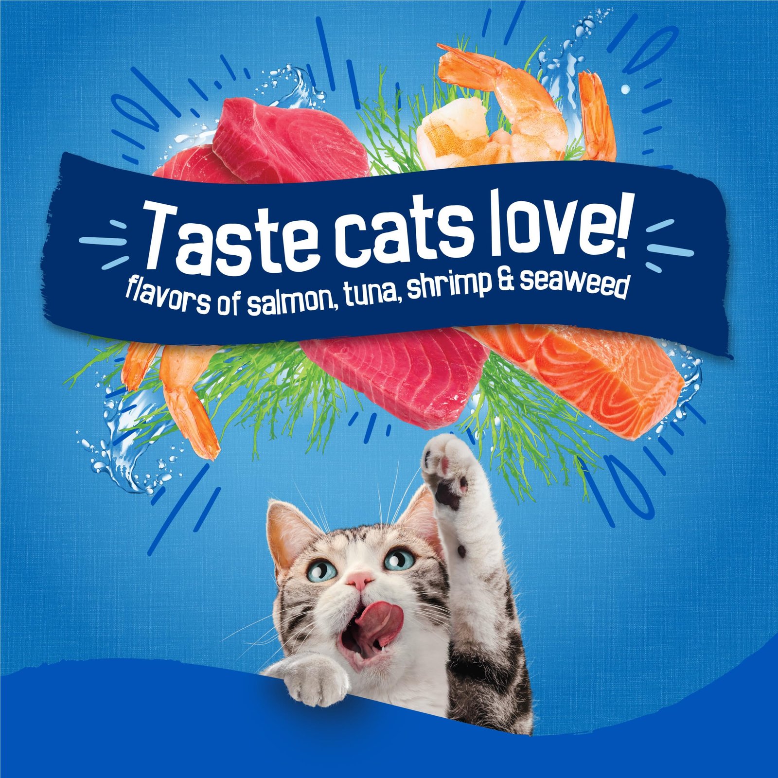 Friskies Purina Seafood Sensations Dry Cat Food, 22 lb Bag - Image 3