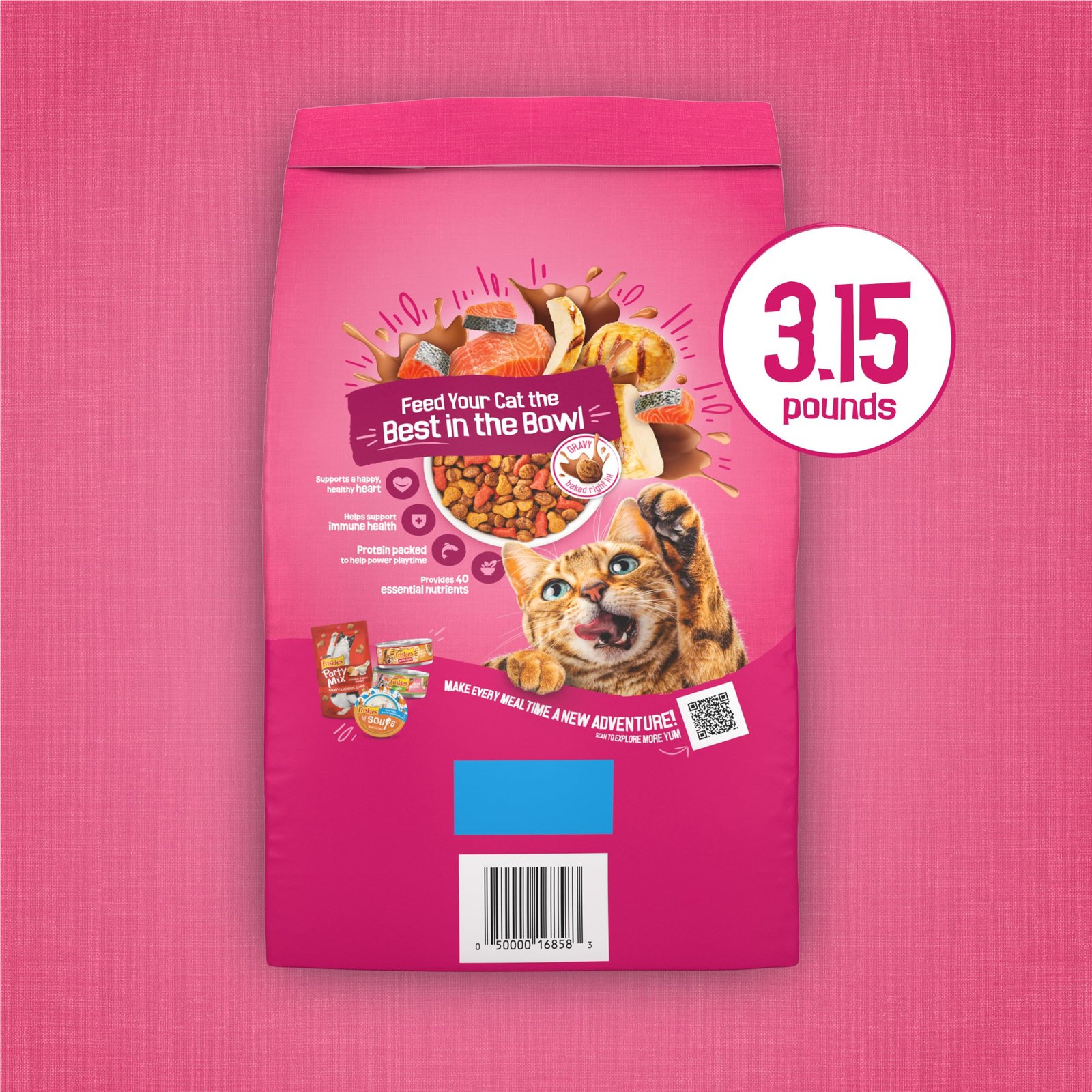 Purina Friskies Gravy Swirlers Dry Cat Food, Chicken & Salmon, 3.15 lb Bag - Image 10